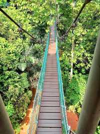KL Eco Forest Park & Canopy Walk: A Green Escape in the City