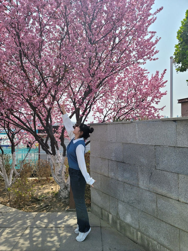 🌿도시 속 여유를 걸으며 힐링! 톈진 힐링루트