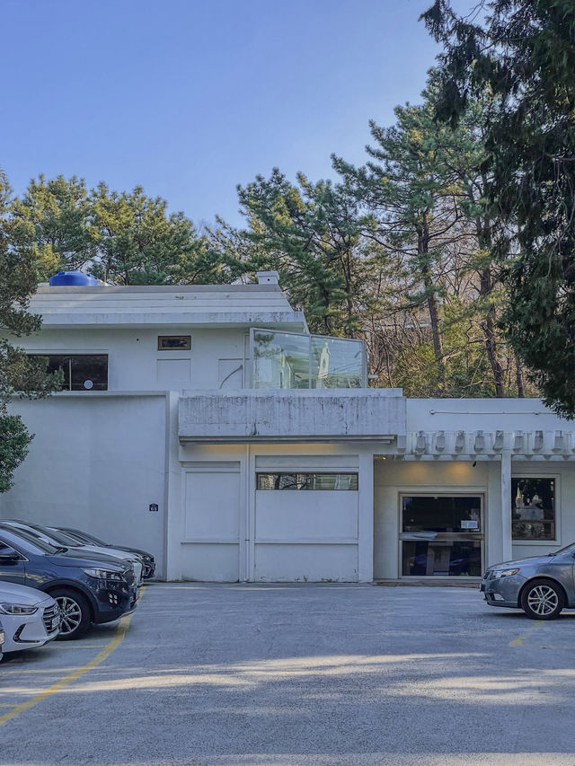 부산 영도 숲뷰 고양이가 있는 힐링 카페 