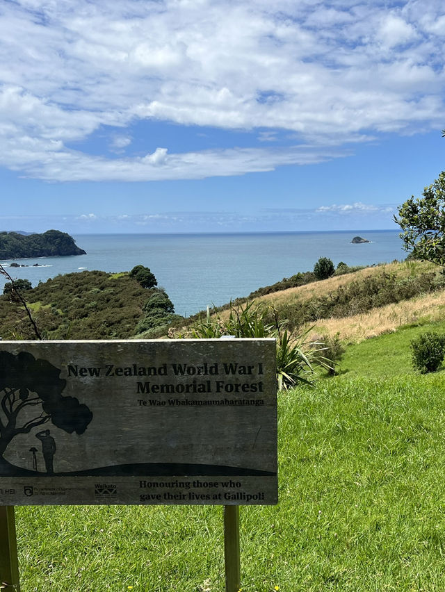 紐西蘭旅遊景點—🌊 Cathedral Cove｜自然雕刻的海上拱門美景 