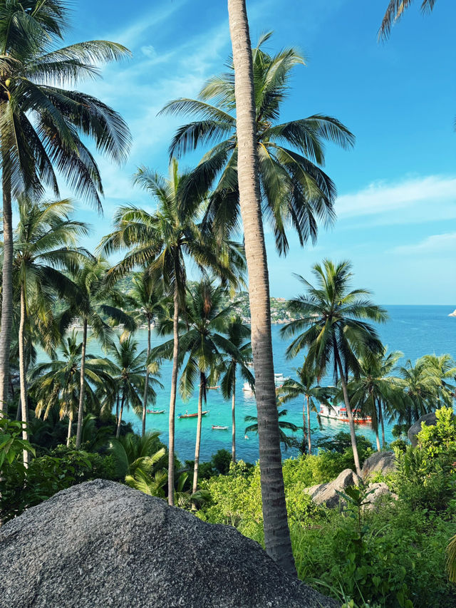 สวรรค์ที่เกาะเต่า สวยมากกก 🏝️✨🧚🏻‍♀️