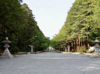⛩️ Serene Escape at Hokkaido Jingu