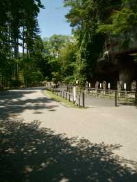 【宮城】美しい海が魅力の日本三景のひとつ | 松島