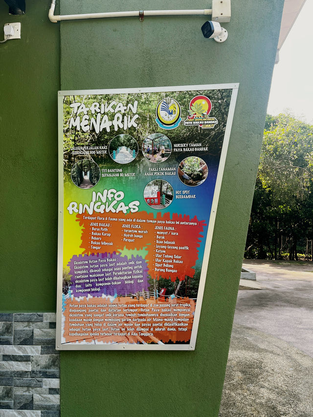 City Mangrove Park – A Perfect Summer Escape into Nature