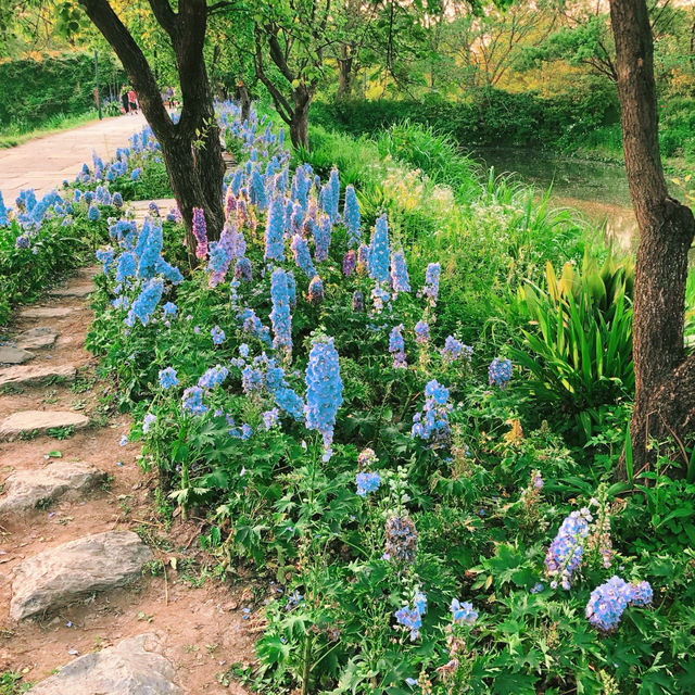 潼湖濕地公園•鳥語花香的自然