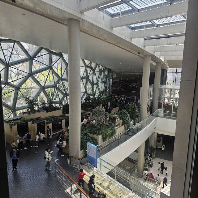 The Shanghai Natural History Museum