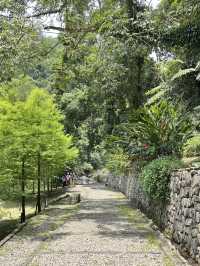 內洞-蝴蝶公園