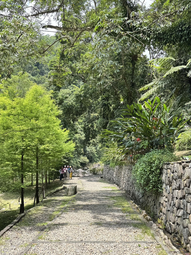 內洞-蝴蝶公園