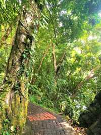 Nature’s Mirror: A Day at Bulusan Lake