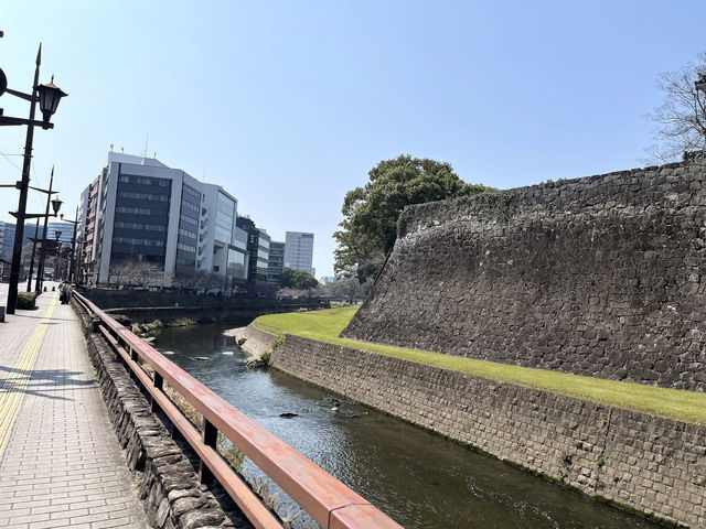 九州中部 熊本城 熊本煙火