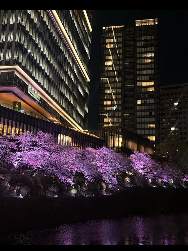 🎨東京の空に浮かぶ美術館のようなホテル「ザ・プリンスギャラリー東京紀尾井町」