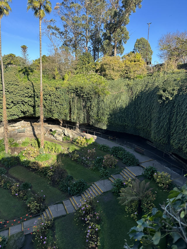 😲 Who Knew a Sinkhole Could Be This Beautiful? 💚