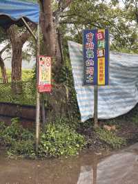 🍃舒適自在的日月潭之旅🌸