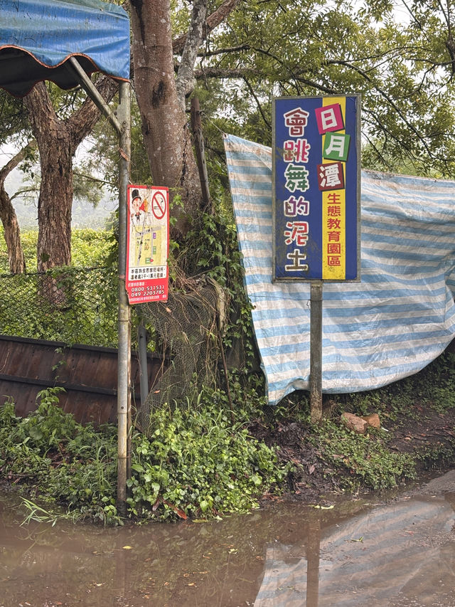 🍃舒適自在的日月潭之旅🌸