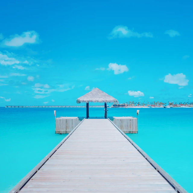 【憧れの地】モルディブ🇲🇻✨