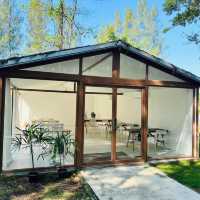 ☕🌿 Calin Cafe – คาเฟ่ลับกลางสวนในนครชัยศรี 
