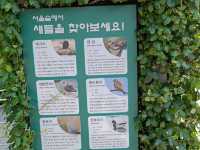 都市綠洲，首爾林的自然公園。