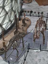 Shanghai Natural History Museum