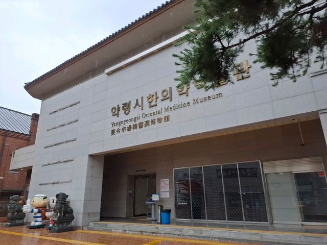 大邱藥令市韓醫博物館，帶你穿越韓醫時光！