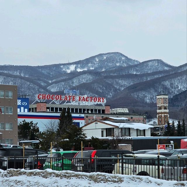 Sapporo in a Day: Culture, Cuisine & City Highlights