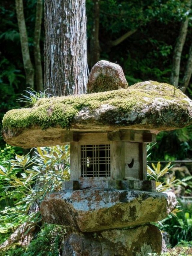 京都必去景點（八） 三千院🌳禪意之美