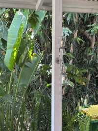 울루와뚜에서 시원한 커피 한 잔 하고 싶을 때 찾은 % Arabica.🌴