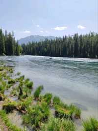 Turquoise Waters and Pine Forests by Kanas Lake