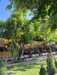 Trinh Cafe & Bistro – คาเฟ่สุดชิลล์ในฮอยอัน ☕️✨