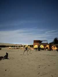 Hayaat: Wheee The Desert Steams