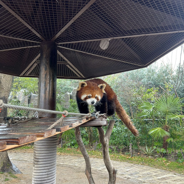 Shanghai Wild Animal Park