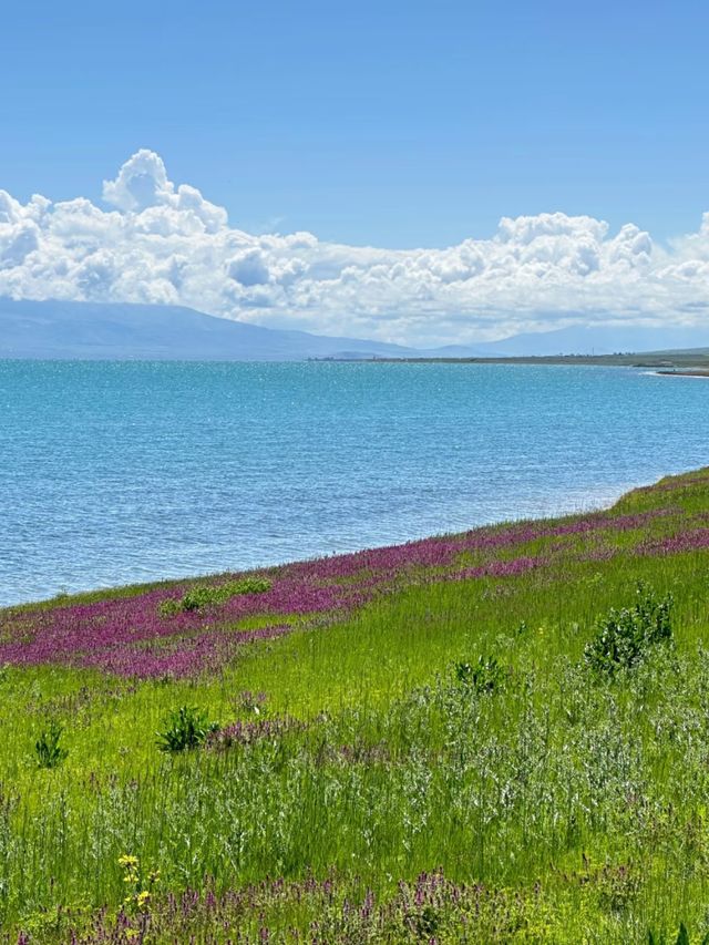 China’s Blue Mirror: Discovering Qinghai Lake