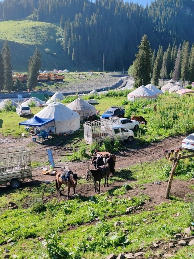My First Horseback Riding Adventure on the Grassland