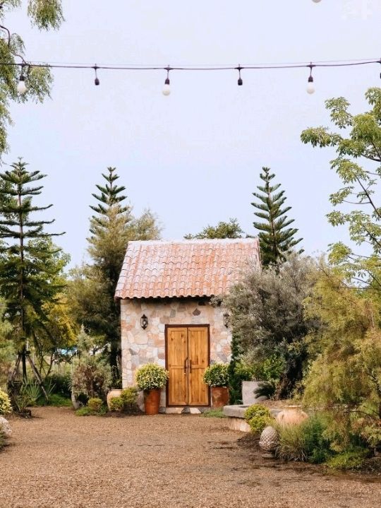 Meadow View Cafe & Wedding