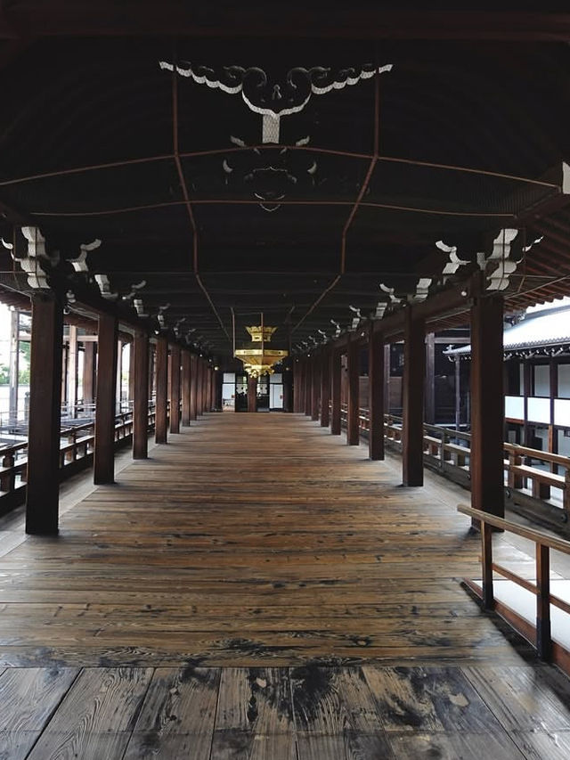 【東本願寺】心に響く静けさと荘厳さ🙏京都駅すぐの“癒しと祈り”の空間