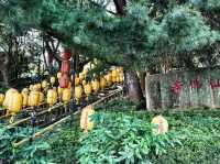 南投.日月潭輕旅行
