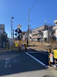 Gotokuji Temple in Tokyo