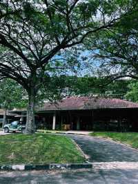 A Lakeside Stroll to Remember at Paya Indah Wetlands