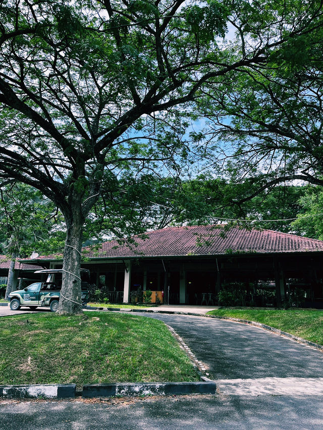 A Lakeside Stroll to Remember at Paya Indah Wetlands