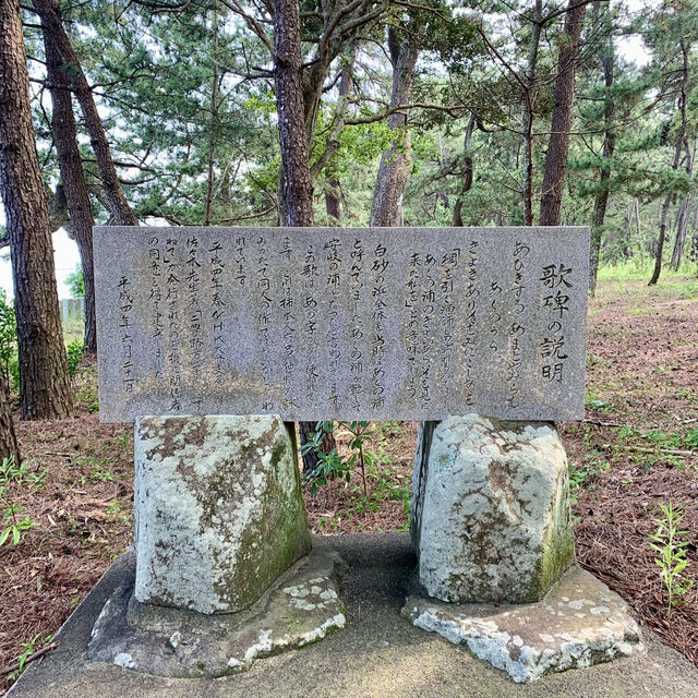 【おんせん県おおいた】潮風を感じて参拝【八幡奈多宮】こんなロケーション珍しいのでは？