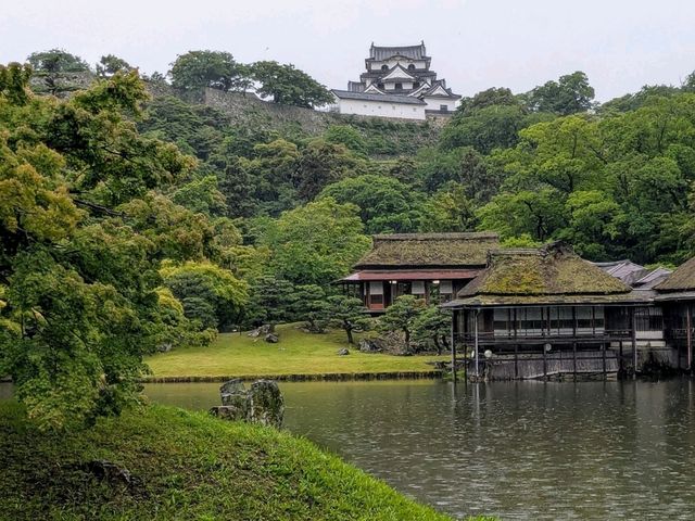 彥根 | 玄宮園，引琵琶湖水而成的日式庭園