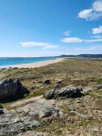 Peaceful Waves and Pine Trees at Praia do Vilar