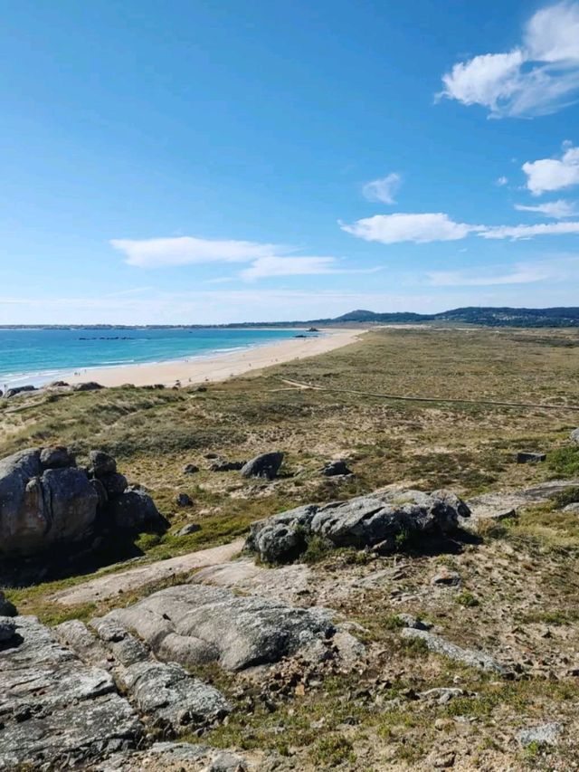 Peaceful Waves and Pine Trees at Praia do Vilar
