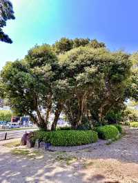 🌊 Matogahama Park – A Seaside Gem by Beppu Bay