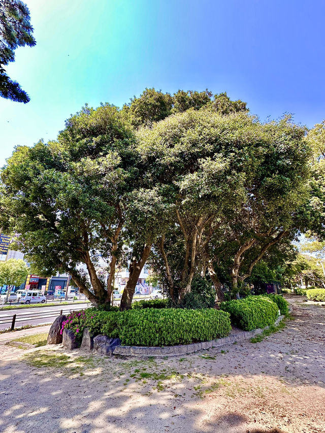 🌊 Matogahama Park – A Seaside Gem by Beppu Bay
