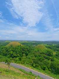 Chocolate Hills View Worth the Climb 🌳✨