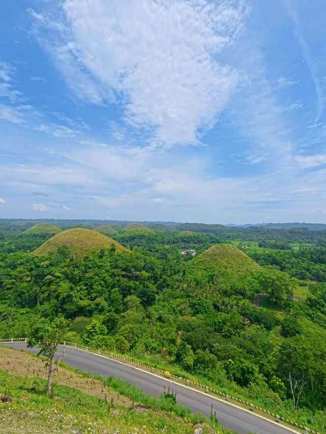 Chocolate Hills View Worth the Climb 🌳✨