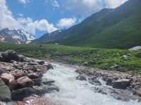 Green grasslands at Nalati Grassland