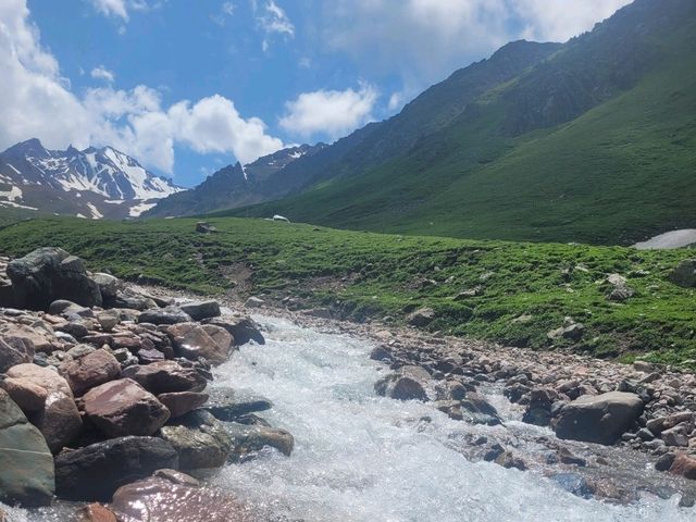 Green grasslands at Nalati Grassland