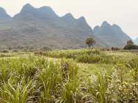 Yulong River (遇龙河)** in Yangshuo, China – a serene paradise of karst landscapes, bamboo rafting, and