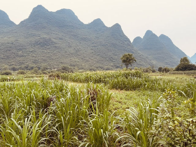 Yulong River (遇龙河)** in Yangshuo, China – a serene paradise of karst landscapes, bamboo rafting, and